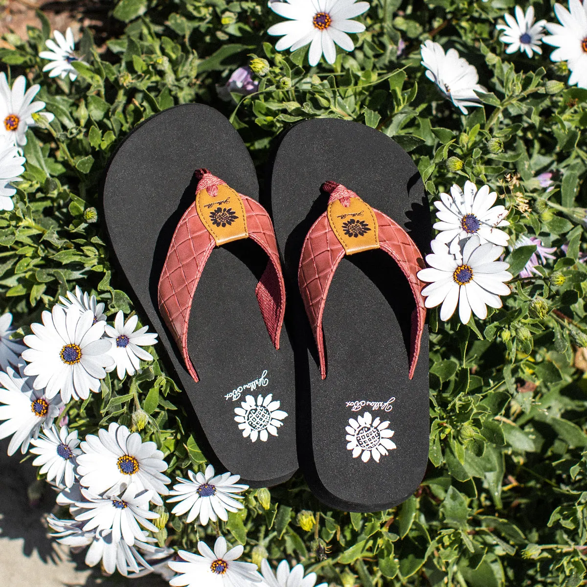 Flophop Flip Flop