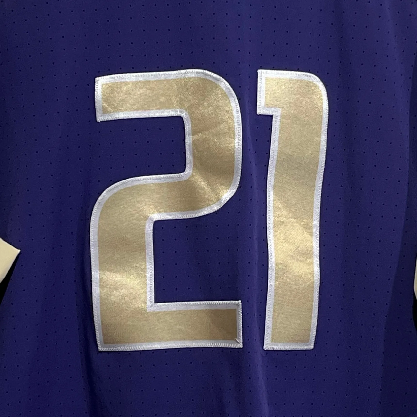 Washington Huskies Baseball Game Worn Warmup Jersey L