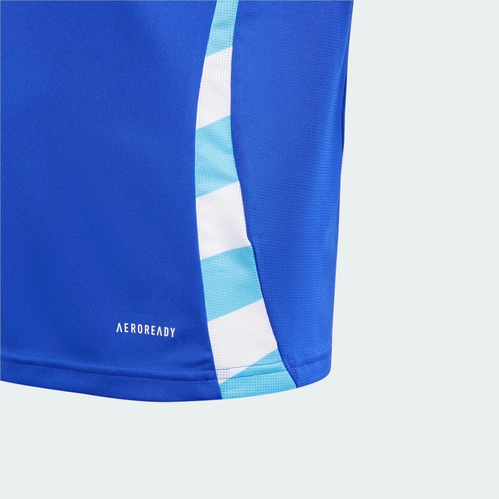 Youth Argentina 2024 Away Jersey